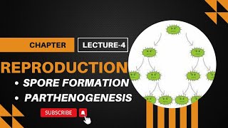 spore Formation amp parthenogenesis lecture4 reproduction class10 biology [upl. by Brufsky]