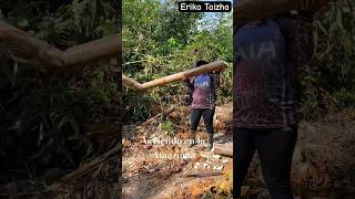 Viviendo en la Amazonía 🇪🇨 erikataizha natural shortvideo ecuatorianas [upl. by Violet]