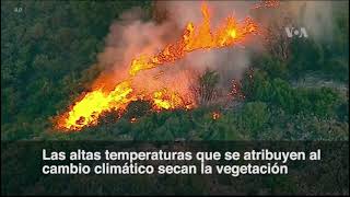 Incendios en California los más graves en su historia [upl. by Nlyak]