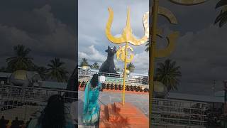 Om namah shivaya shorts shortsviral love music song [upl. by Aneeg]