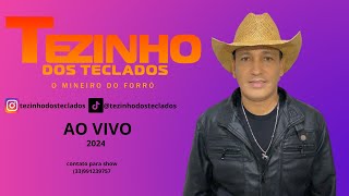 TEZINHO DOS TECLADOS AO VIVO 2024 [upl. by Rim]