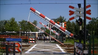 Spoorwegovergang Bodegraven  Dutch railroad crossing [upl. by Hadrian348]