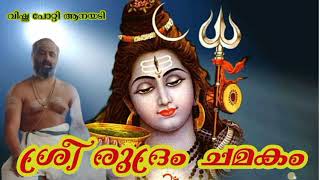 ശ്രീ രുദ്രം ചമകം  Sri Rudram  Malayalam  Brahmasree VISHNU POOTI ANAYADI SriRudram [upl. by Barmen717]