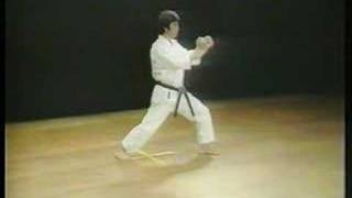 Jion  Shotokan Karate [upl. by Seafowl681]