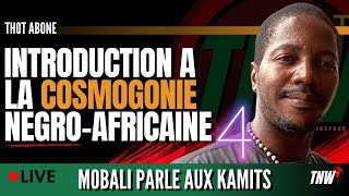 INTRODUCTION A LA COSMOGONIE NEGROAFRICAINE Prt 4 AVEC THOT ABONE [upl. by Hegarty911]