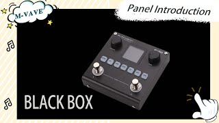 MVAVE Blackbox Panel Introduction [upl. by Sezen969]