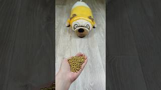 Dog 🐶 Beads 🟡 Reverse video marblerunandmore reversevideo [upl. by Yenruogis]