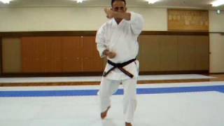 Israel Shotokan Eli Cohen Heian Shodan  Slow [upl. by Hammerskjold759]