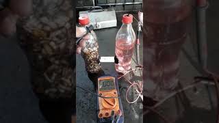 Experimento Celda de Combustible Microbiana [upl. by Yztim]