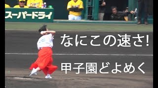 足立佳奈 『なにこの速さ 12万5094人からのｼﾝﾃﾞﾚﾗｶﾞｰﾙ 甲子園どよめかす』 阪神 横浜DeNA戦 甲子園始球式 2018年5月3日甲子園球場 [upl. by Oakman]