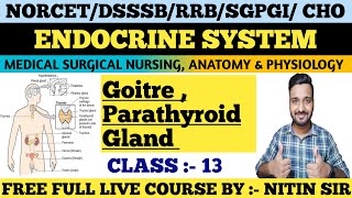 ENDOCRINE SYSTEM Medical Surgical Nursing CLASS 13FREE LIVE COURSE NORCETDSSSBRRB freeclasses [upl. by Ainad]