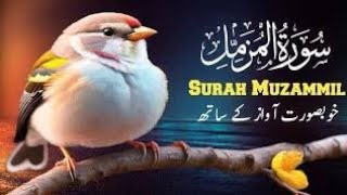 Surah muzzammilbeautiful recitation  Ghar karobar ki barkat kalea [upl. by Akyssej]