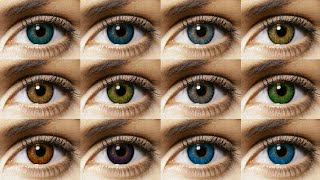 Freshlook Colorblends All 12 Colors Contact Lens Review [upl. by Hayman]