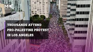 Thousands attended a proPalestine protest in Los Angeles [upl. by Onibas]