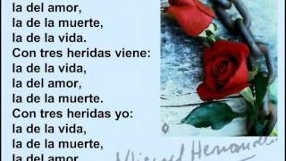 MIGUEL HERNANDEZ POEMAS [upl. by Robbyn]