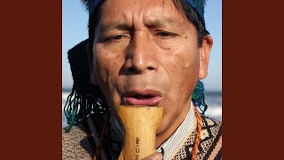 Inchin Ta Mapuche [upl. by Arzed]