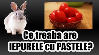 Ce treaba are IEPURELE cu PASTELE [upl. by Abekam799]