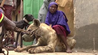 Nigerias hyena culture clashes with conservation [upl. by Athenian]