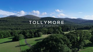 Tollymore Forest Park  A few moments Cinematic Drone Film [upl. by Gilles]