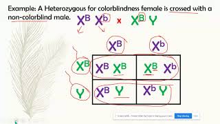 Sexlinked Inheritance AP Biology Topic 54 [upl. by Angid]