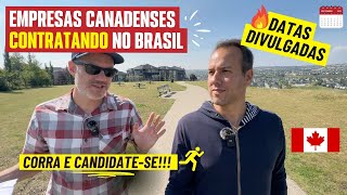 Empresas Canadenses buscam brasileiros não é clickbait [upl. by Benedict]