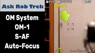 OM Systems OM1 vs Olympus E M5 Mark III SAF in Low Light ep 429 [upl. by Sungam]