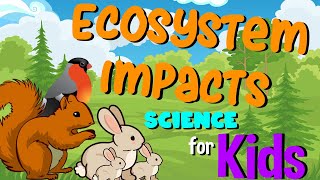 Ecosystem Impacts  Science for Kids [upl. by Nadler480]