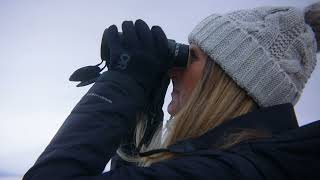 A day in Antarctica on an HX expedition cruise [upl. by Hayyim107]