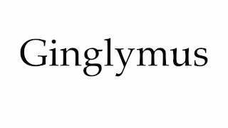 How to Pronounce Ginglymus [upl. by Aiehtela810]