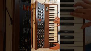 The Persuaders Theme Attenti a quei due  Minimoog Cover [upl. by Nawed]