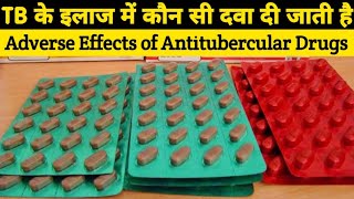 How to treat TB  Adverse effect  Antitubercular drugs  Medicine information  Pharmacology [upl. by Anaik654]