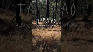 An ambient walk up Mt Tapulao in Zambales Philippines [upl. by Ailec]