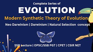 Modern Synthetic Theory of Evolution  Neo Darwinism  Darwinism  Natural Selection Notes [upl. by Harlamert842]