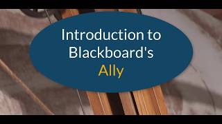 A quick look at Blackboards A11y [upl. by Hogarth]