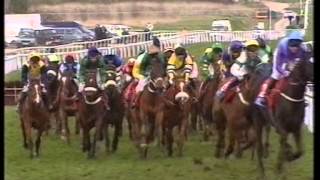 2002 Coral Eurobet Cup Handicap Hurdle [upl. by Saval]