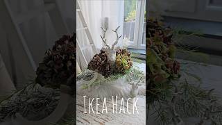 IKEA HACK Herbstdeko  DIY für den Herbst  Herbstdekoration🍂 [upl. by Zacherie]