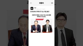 민주당에서 추측하고 있는 국힘 플랜 [upl. by Anaitsirhc]