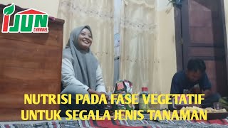 NUTRISI TANAMAN FASE VEGETATIF UNTUK SEGALA JENIS TANAMAN [upl. by Ioj299]