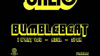 Gregor Salto Bumblebeat [upl. by Merta]