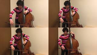 吹奏楽曲『ロマネスク』をコントラバスで弾いてみました。 I played the wind instrument music quotRomanesquequot with a contrabass [upl. by Atiras]