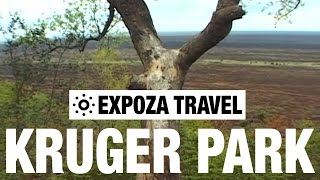 Kruger National Park Vacation Travel Video Guide [upl. by Sirhc497]