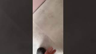 How to fit Vinyl click flooring jazy bampq [upl. by Mosera825]