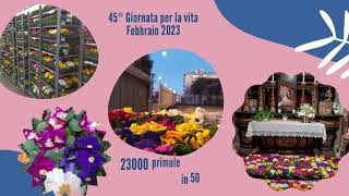 Un anno con il CAV 022023022024 [upl. by Bergmans]