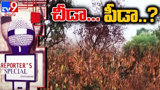 Reporters Special  చీడా పీడా  Dieback disease hits neem trees in Telangana again  TV9 [upl. by Appledorf867]