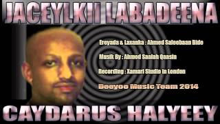 CAYDARUS HALYEEY HEES CUSUB  JACEYLKII LABADEENA  2014 [upl. by Ahsirk]