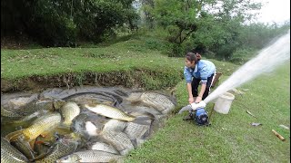 Full Video Fishing Techniques How to Fishing in The Wild Harvesting Many Big Fish  Girl Fishing [upl. by Rochus]