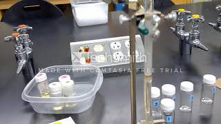 Column chromatography separation of carvone and limonene in caraway oil [upl. by Udell]