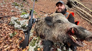 Tir d’un sanglier de 76 kilo dans les montagne du 06 action magnifique 🤩 💥🐗🐕 [upl. by Leis]