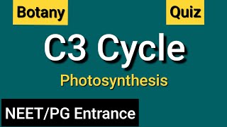 C3 Cycle MCQs  NEET  PG Entrance  Botany [upl. by Noda]