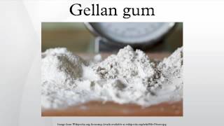 Gellan gum [upl. by Branen]